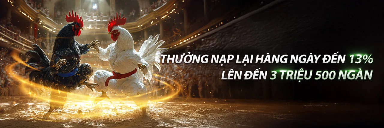 Trực Tiếp Đá Gà CPC3 Sôi Động